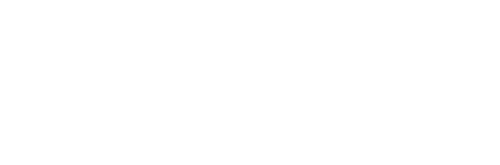 زنیت